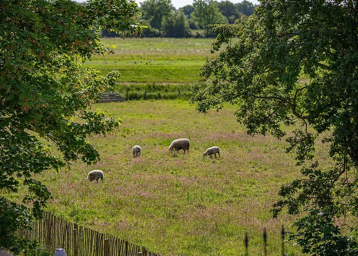 Apartament Alte Meierei *